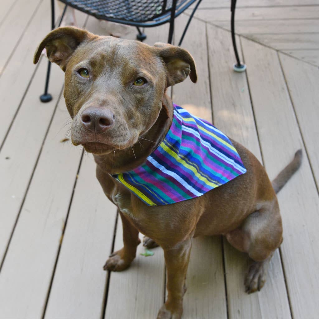 Hand Woven Over the Collar Dog Bandana