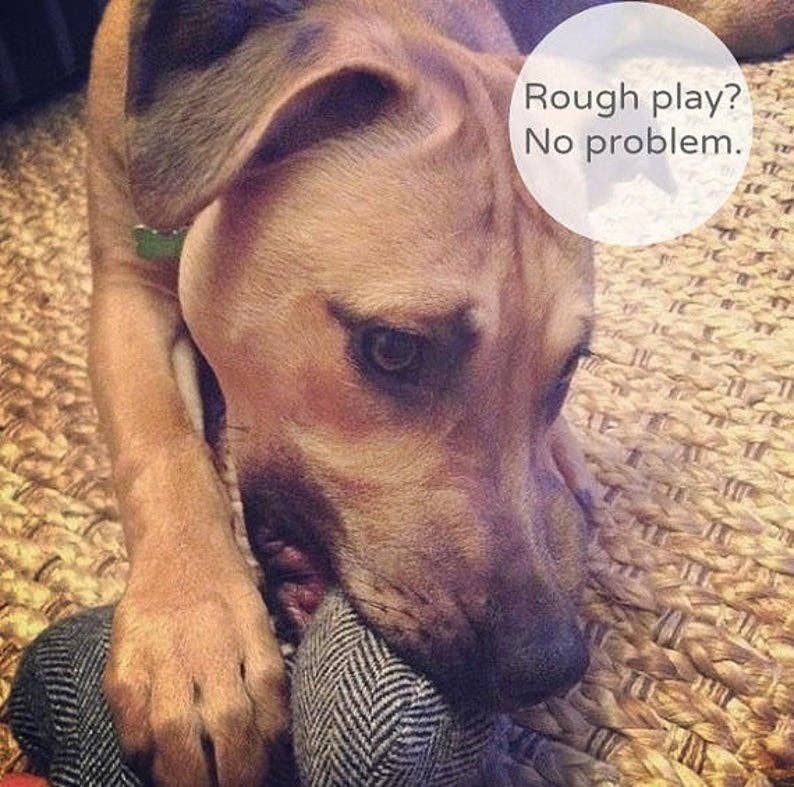 Tweed Dog Toy