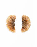 Beaded Handwoven Ginkgo Leaf Stud Earrings (Bronze)