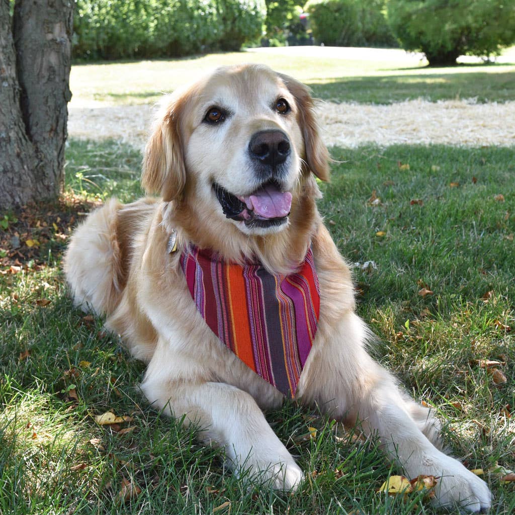Hand Woven Over the Collar Dog Bandana