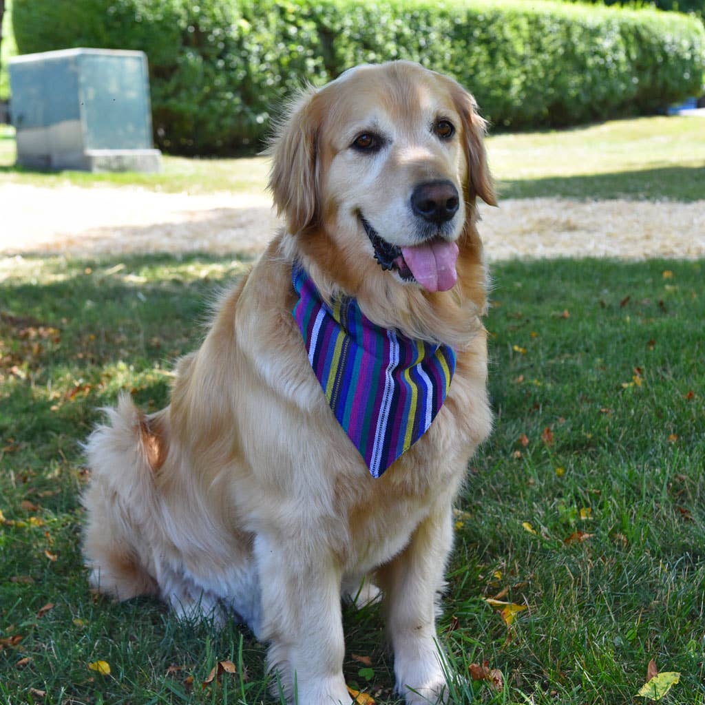 Hand Woven Over the Collar Dog Bandana