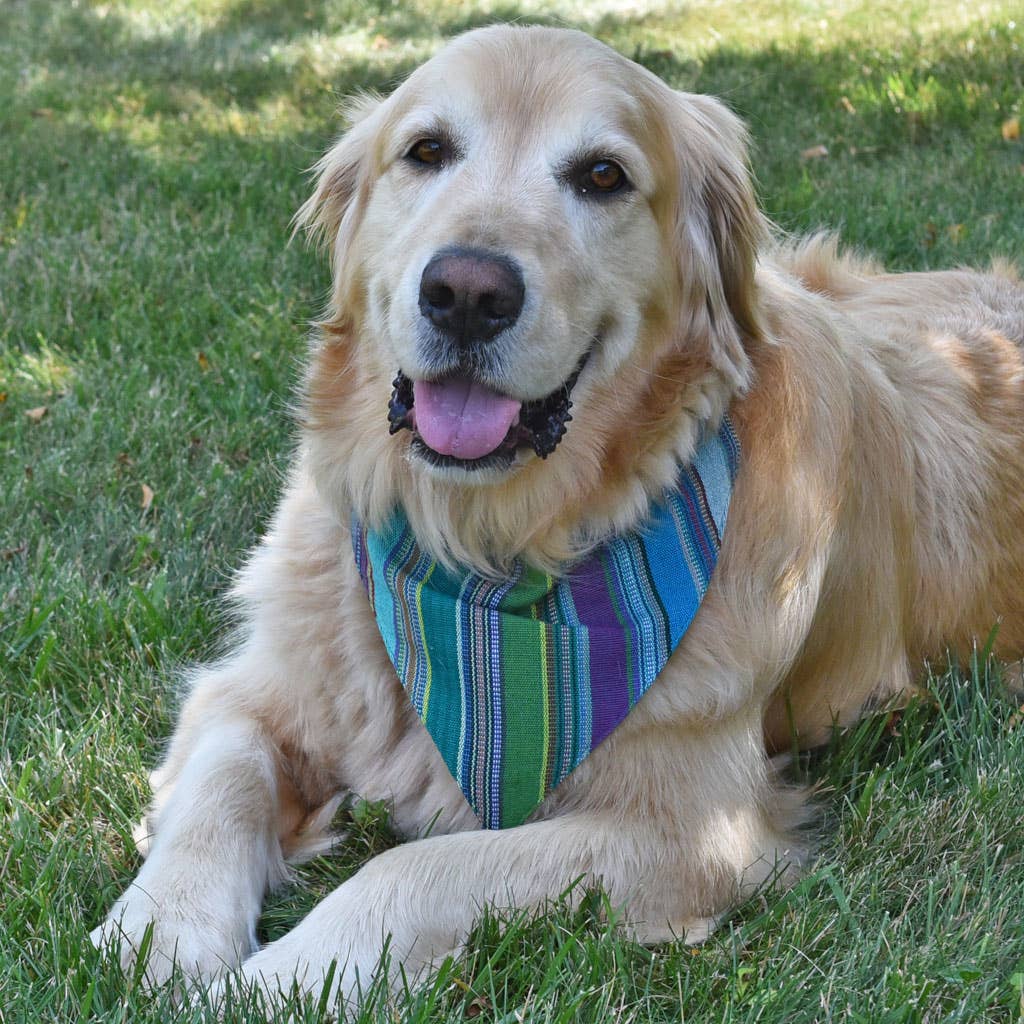 Hand Woven Over the Collar Dog Bandana
