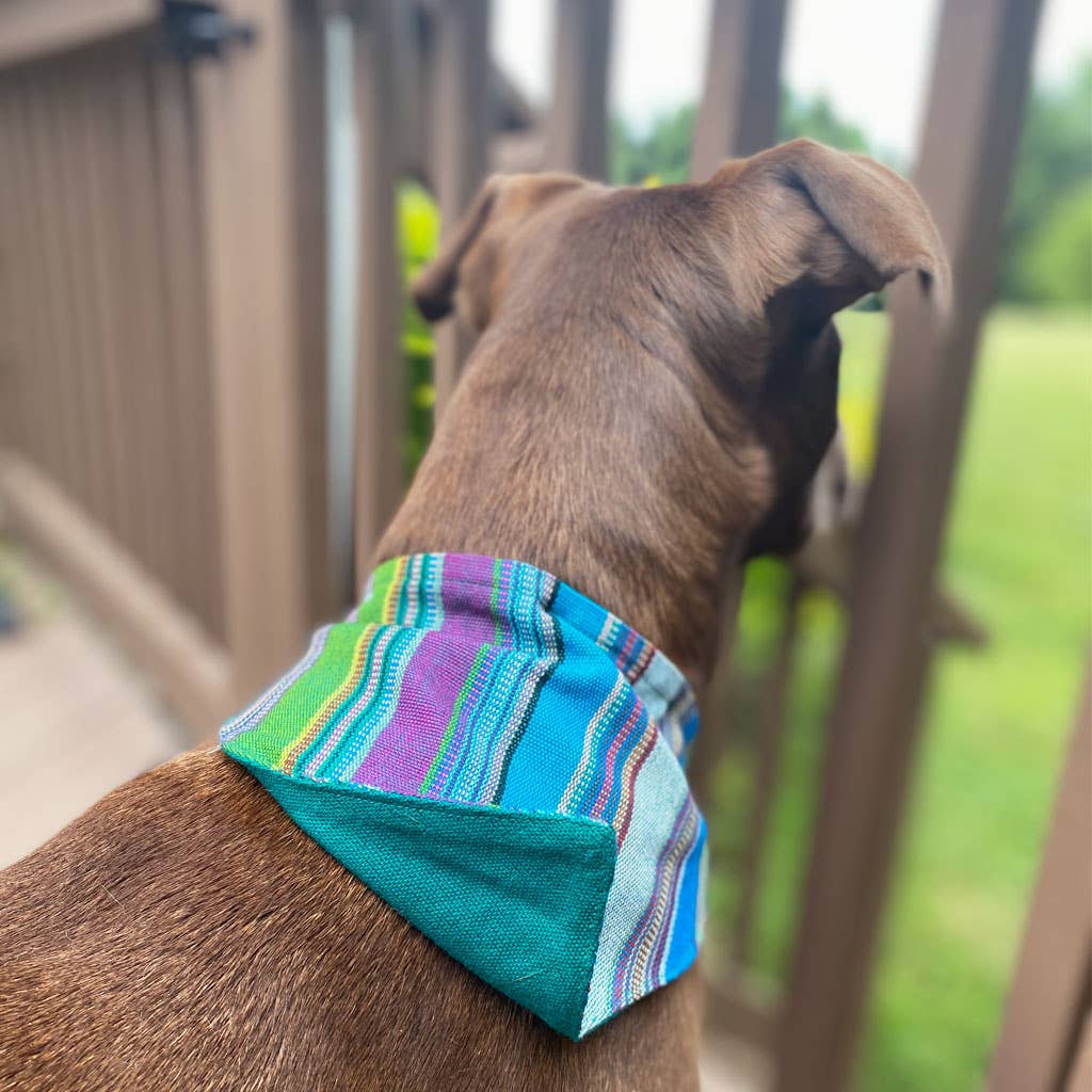 Hand Woven Over the Collar Dog Bandana
