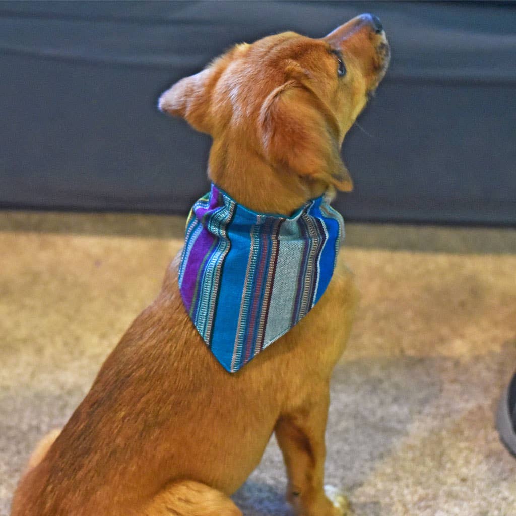 Hand Woven Over the Collar Dog Bandana