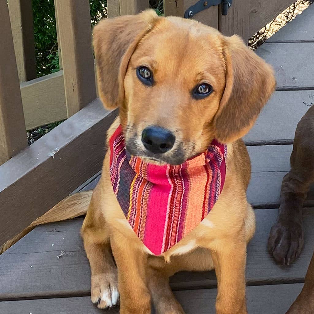 Hand Woven Over the Collar Dog Bandana